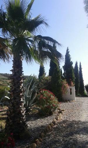 Agroturismo Casa Fuente de La Zorra
