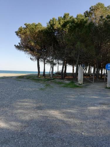 Apartamento Residence Conchiglia