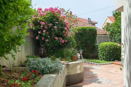 Apartments Cvjetni Dvori