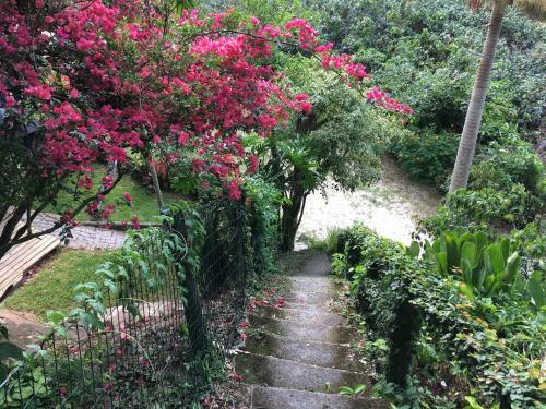 Hostal Orchid Garden Lodge - Matadeiro