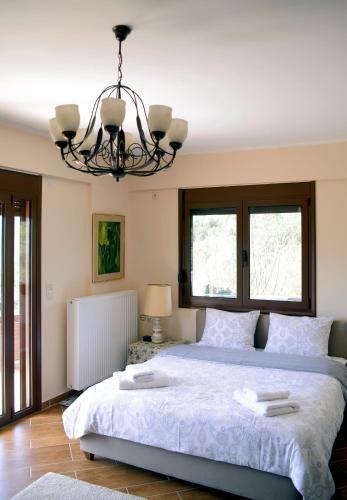 Villa Olive Garden House