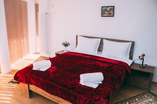 Hostal Vila Dragomirna