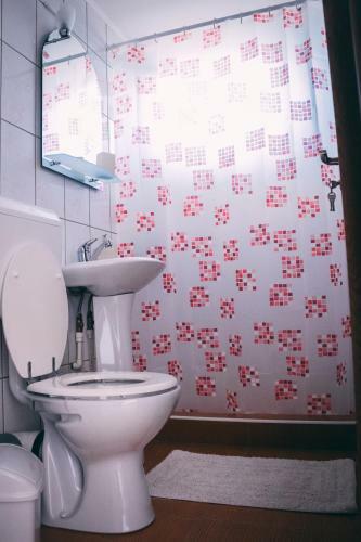 Hostal Vila Dragomirna