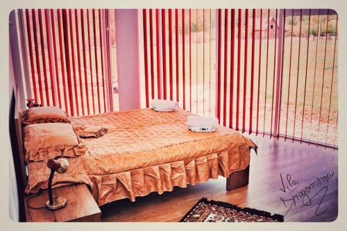 Hostal Vila Dragomirna