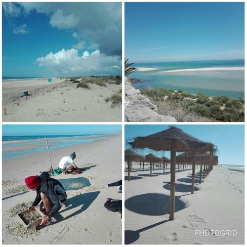 Apartamento Casas Da Praia