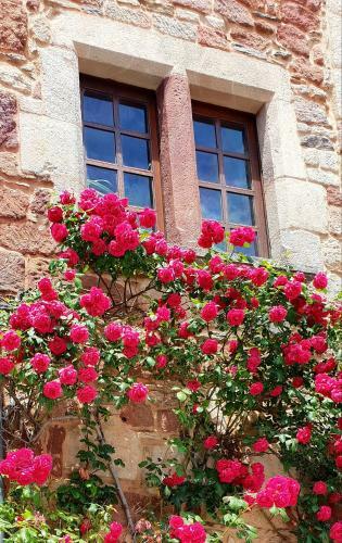 G�te - La Terrasse Fleurie
