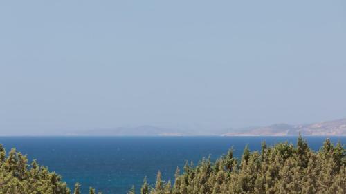 Manolis Villa