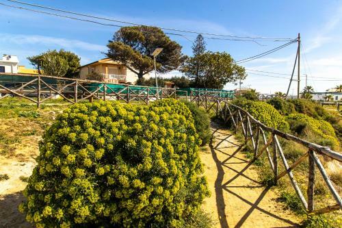 Hostal A Casa Di Amelie