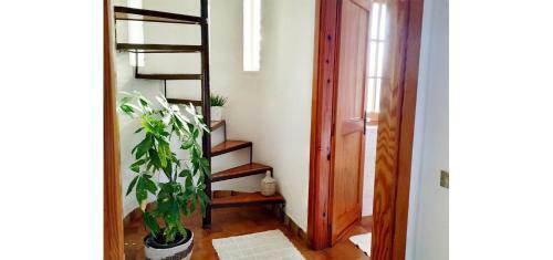 Zampy - Villa 150mt Dal Mare