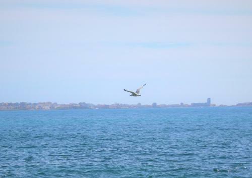 Villetta A Due Passi Dal Mare