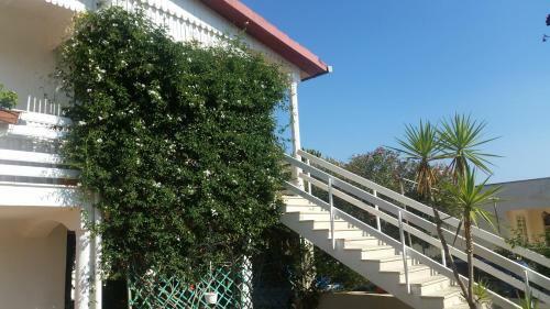 Delianick Holiday Home