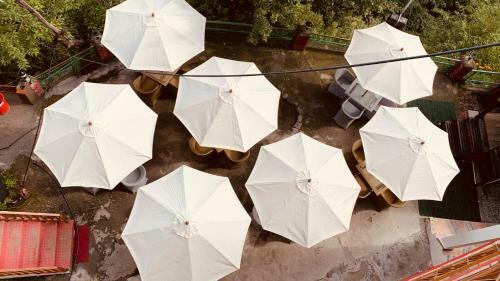 Hotel Medallion Bistro & Stay