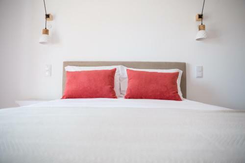 Casa Dos Junqueiros - Countryside Guest House