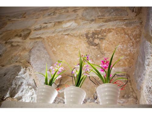 Apartamento Studio Amabile Split