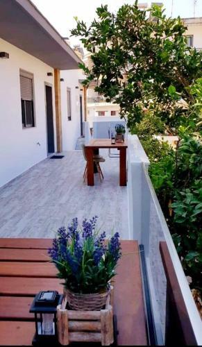 Rhodes Luxury Apartments