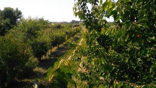 Agroturismo Agriturismo Taglio Del Re