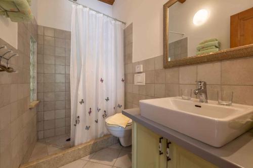 Apartments In Rovinj - Istrien 40158
