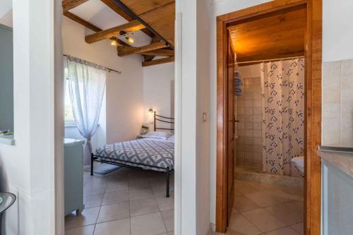 Apartments In Rovinj - Istrien 40158