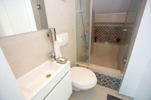 Studio Apartment Laganini