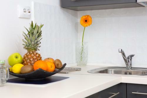 Studio Apartment Laganini