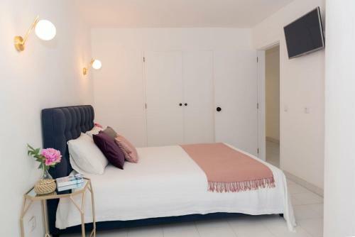 Apartamento Casa Olga Vieira