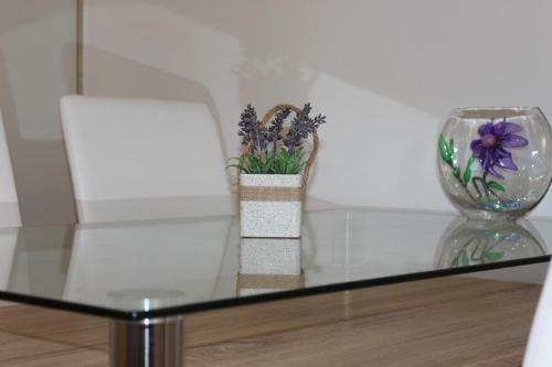 Apartment Penga