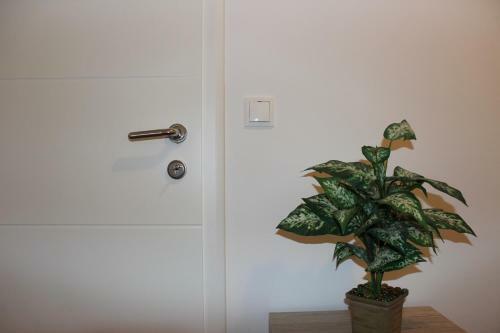 Apartment Penga