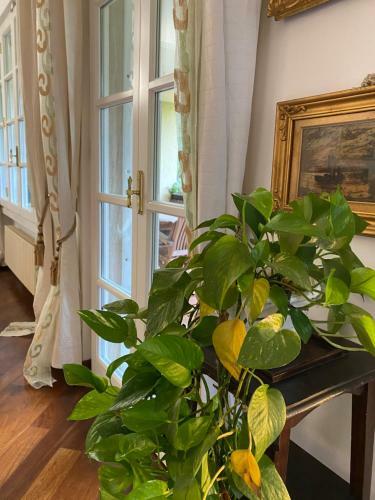 B&B Villa Tersius