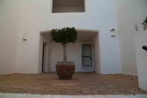 Apartamento Dreamly Sea