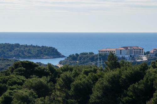 Apartment Ana With Amazing View