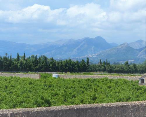 Apartamento La Giralda 2 Denia Les Marines