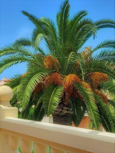 Apartamento La Giralda 2 Denia Les Marines