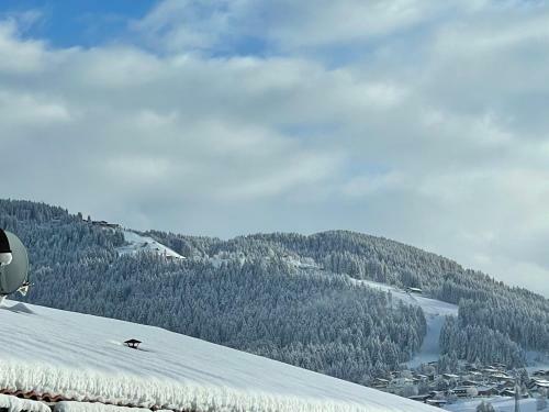 Das Gem�tliche Chalet Im Bergdoktordorf Ellmau