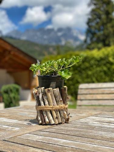 Das Gem�tliche Chalet Im Bergdoktordorf Ellmau