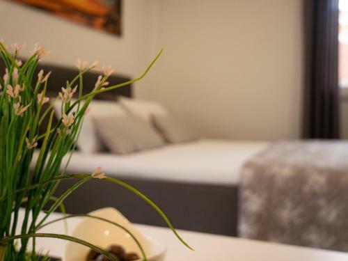 Family Apartments Zadar