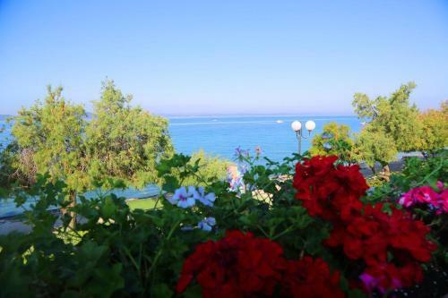 Hostal Single Room Zadar - Diklo 16023g