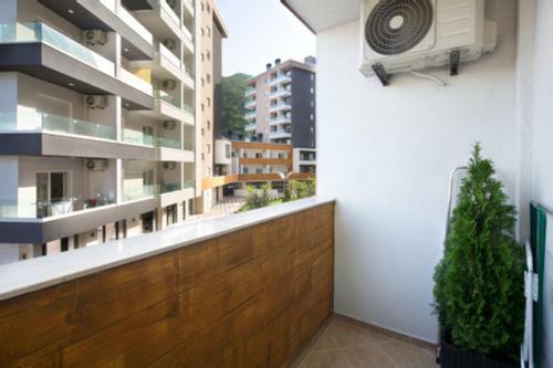 Apartamento Lotus