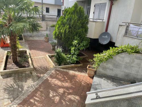 Apartments Zevs