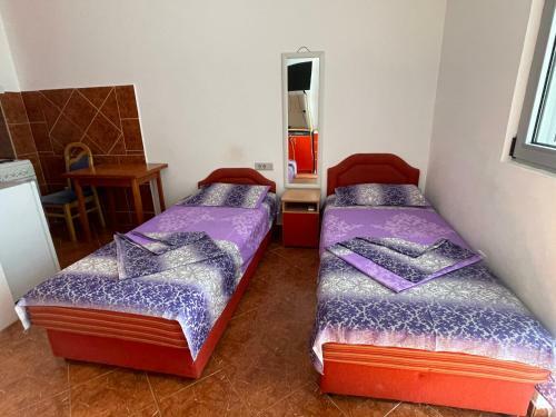 Apartments Zevs