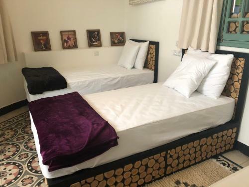Bed Square Hostel