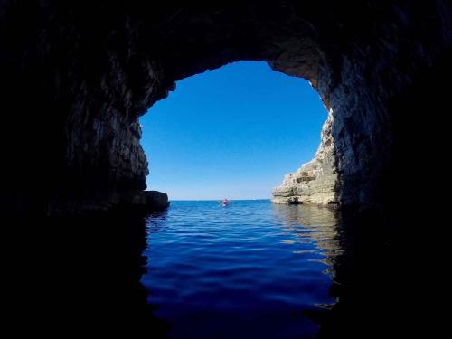 Apartment In Pula/istrien 26834