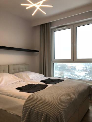 Apartament Z Widokiem