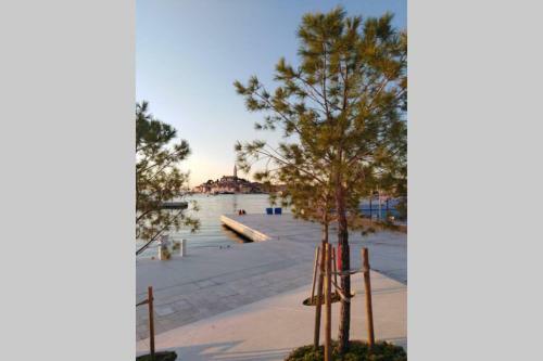 Apartman Sertic Nenad Rovinj