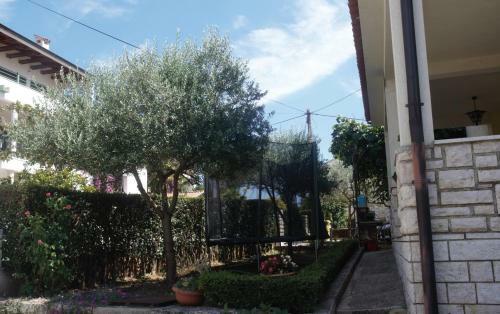 Apartmani Darko