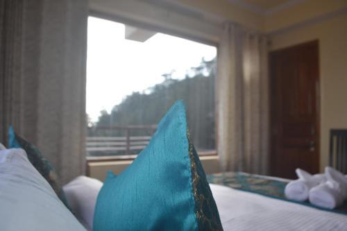 Bed & Breakfast Viva Heights