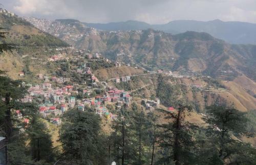 Bed & Breakfast Viva Heights