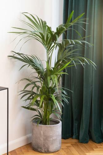 Sopot Rivoli Apartments By Renters