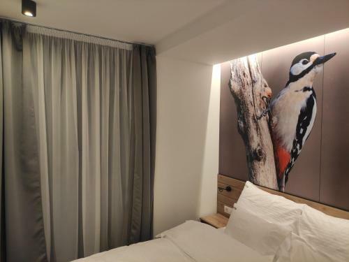 Apartman Woody