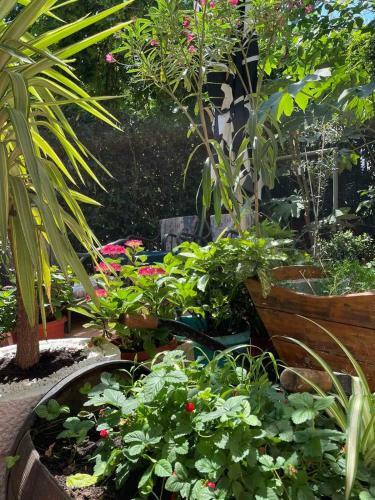 Garden Apartment