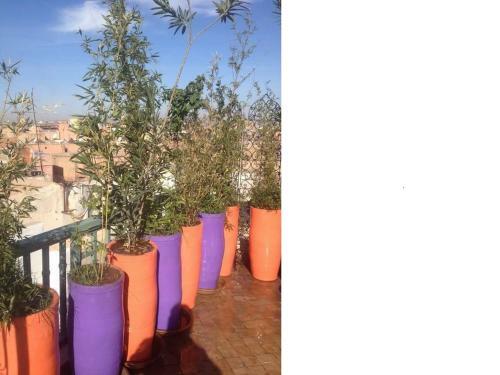 Apartamento Riad Manaoui